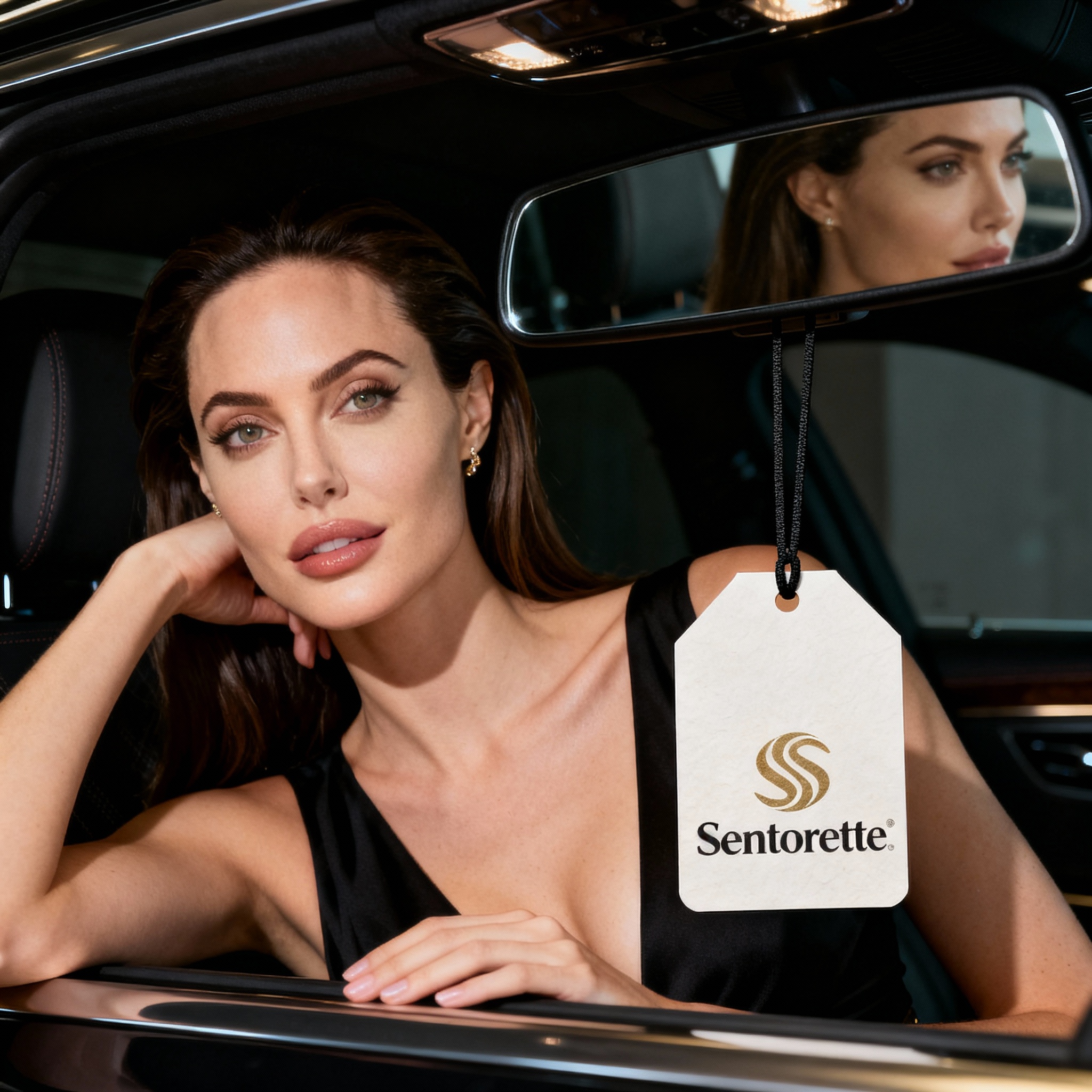 Sentorette automotive-industry﻿﻿